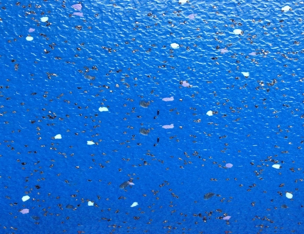 交通系統(tǒng)地板007