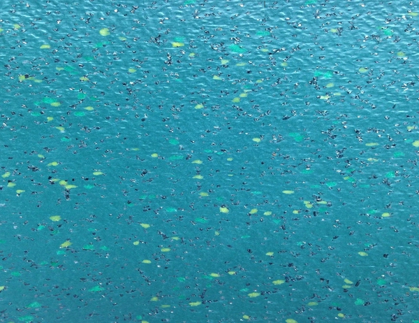 交通系統(tǒng)地板012