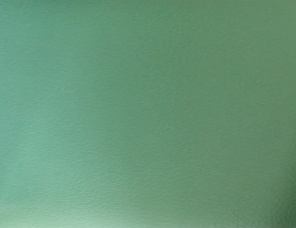 健身房運(yùn)動地板007