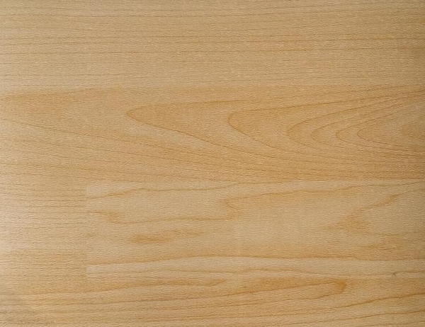 籃球場運動地板5