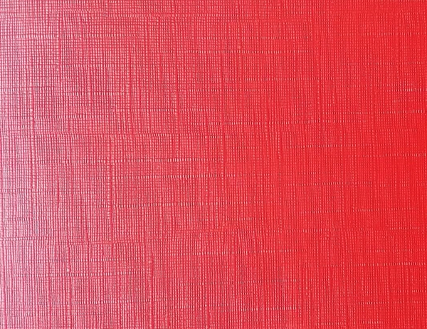 乒乓球運(yùn)動(dòng)地板6