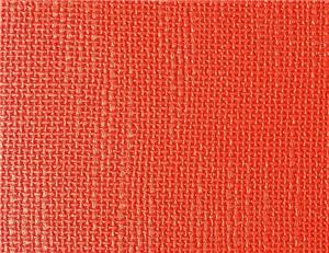 乒乓球運動地板10