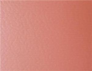 排球場(chǎng)運(yùn)動(dòng)地板1